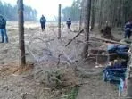 Жители Жуковского снова видели, как рубят Цаговский лес