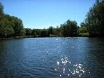 Минэкологии расследует засорение озера в Жуковском